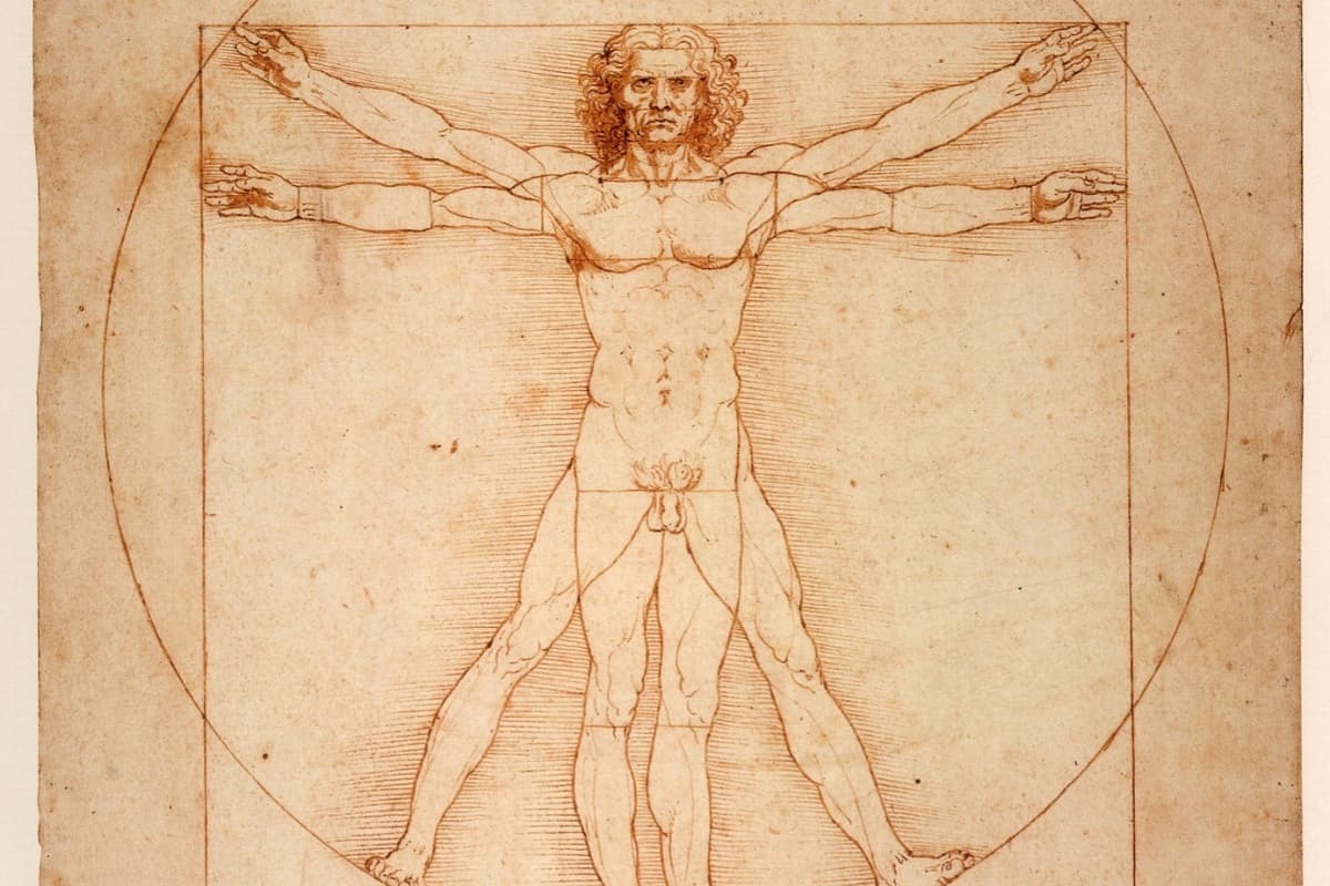 Entgiftung und Ausleitung – So befreien Sie Ihren Körper von Sc