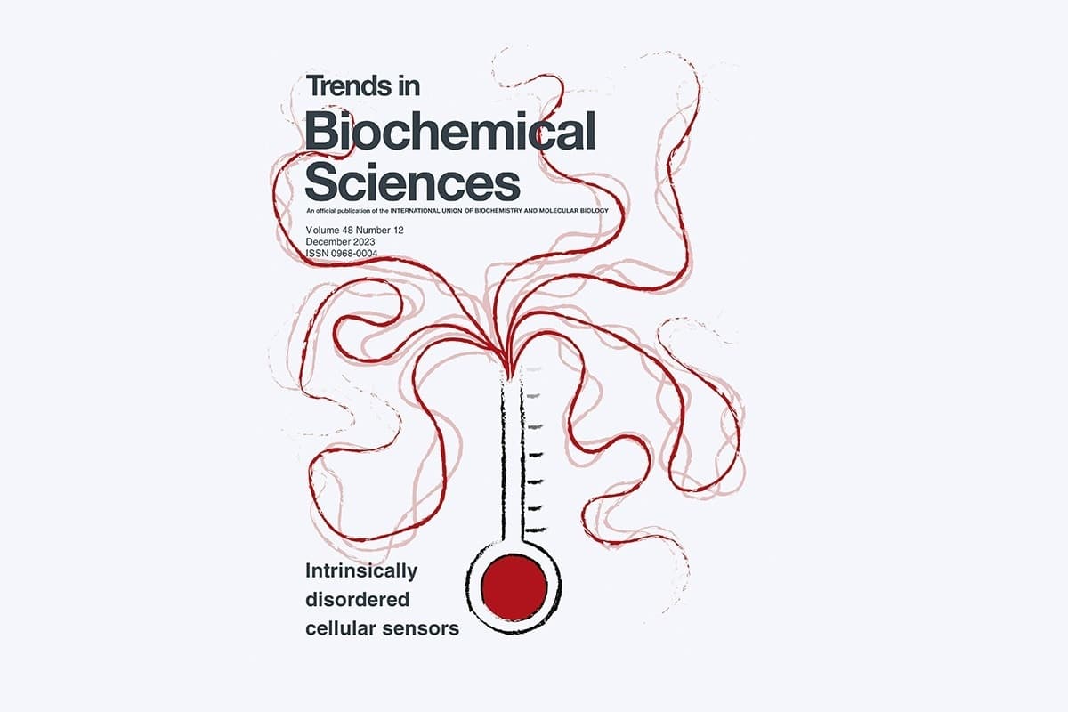 AB ZIMTIO AG - Durchbruch in der Krebsforschung...