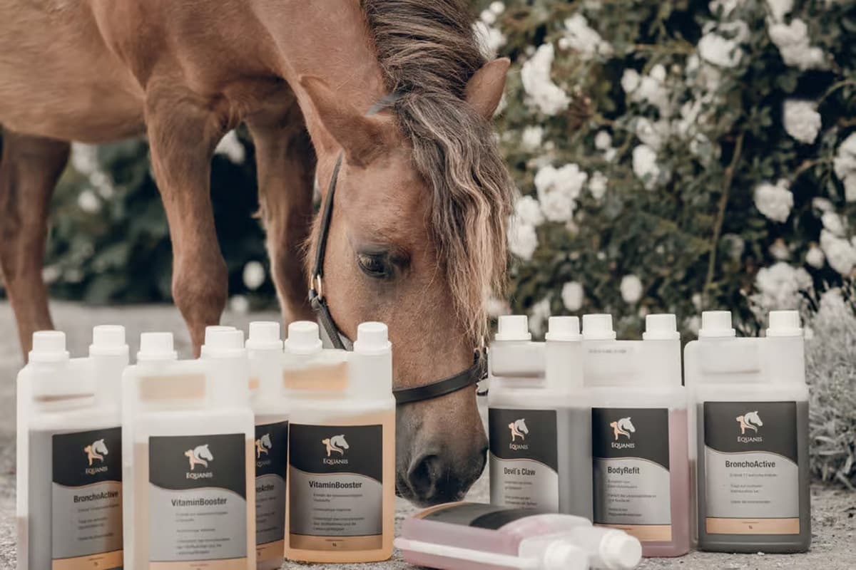 Equanis Online-Shop – Hochwertiges Ergänzungsfutter für Pferde